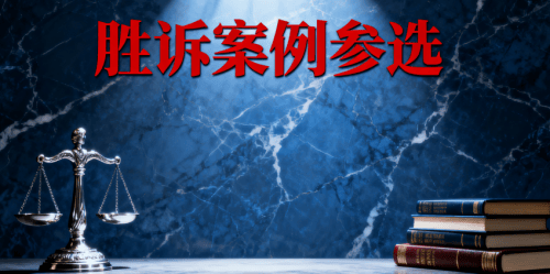 北京恒略律师事务所成功案例解析